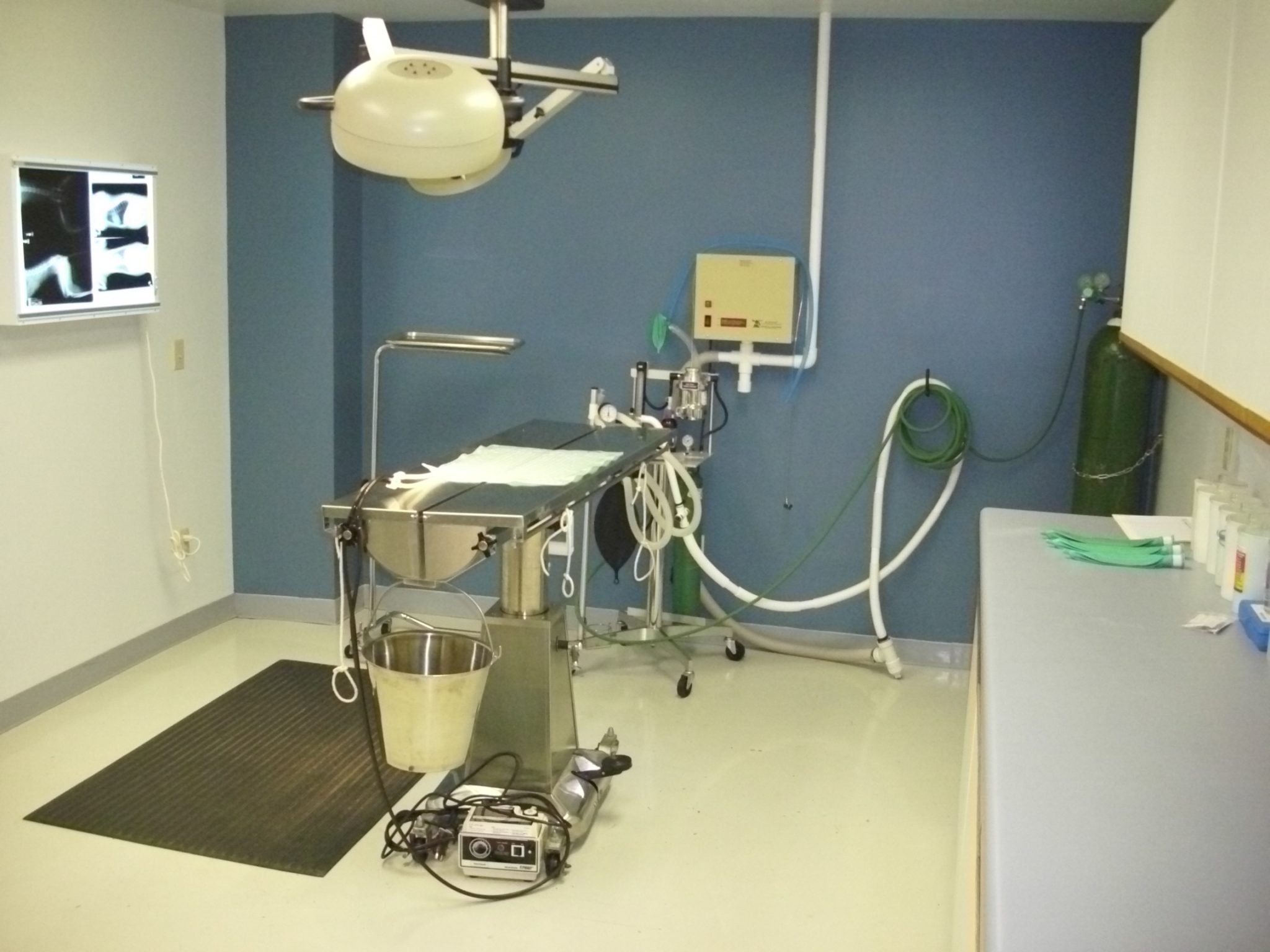 Hospital Tour Laurel Park Animal Hospital