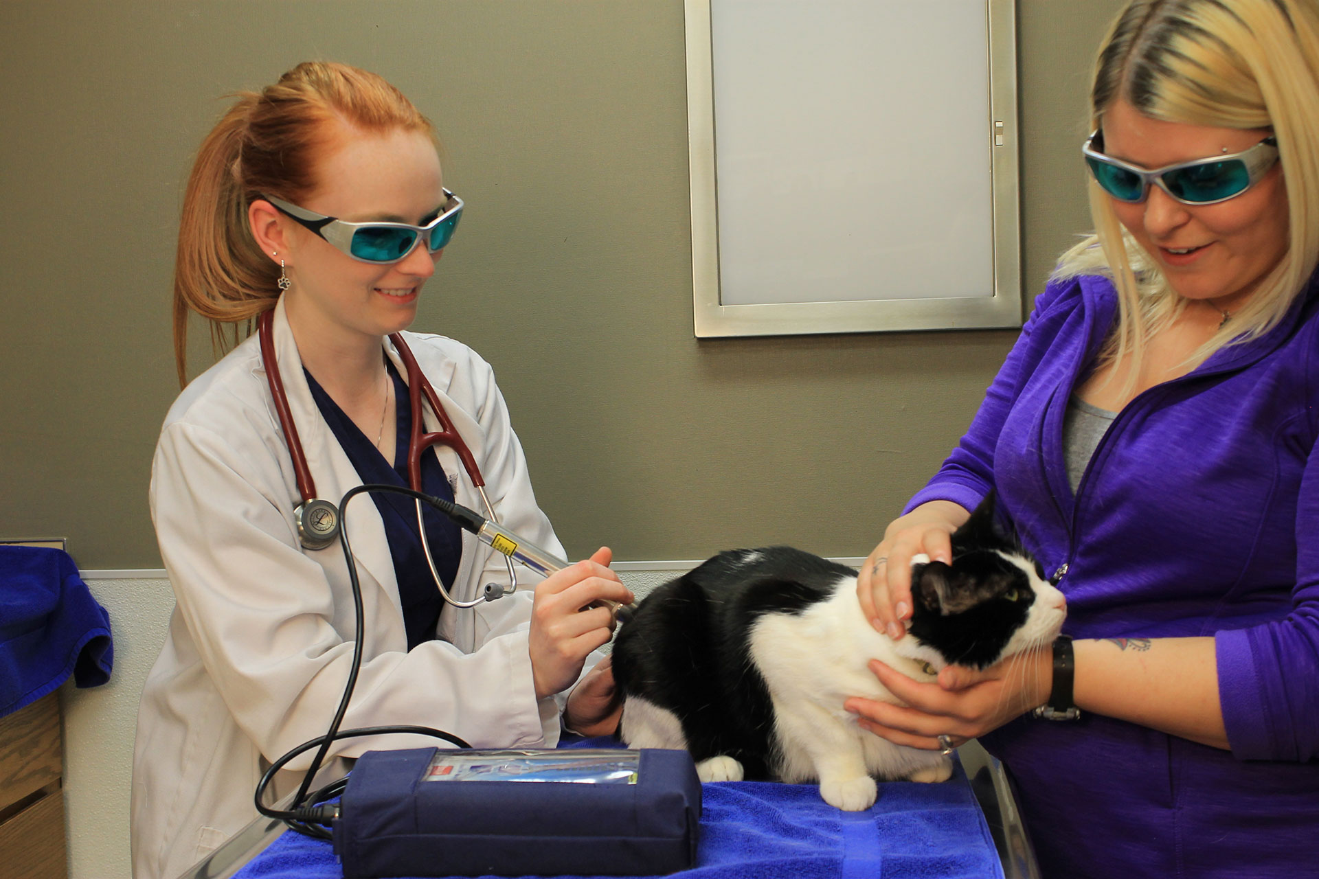 Laser Therapy  Hendersonville, NC 